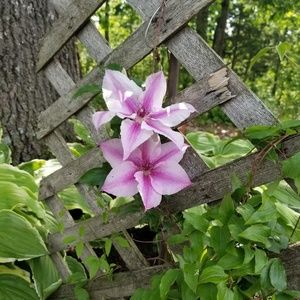 Meet your Posher, Judy